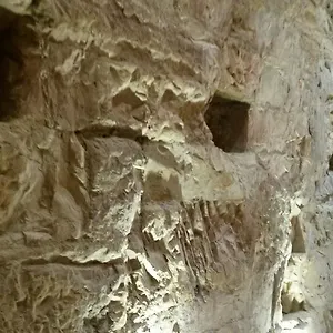 Aurora Delle Rose Asyż